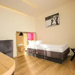 ホテル Solewerk 3*